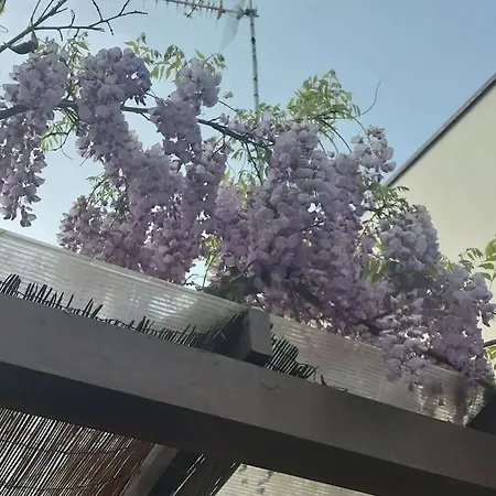 Casa Il Glicine Apartment Ravenna